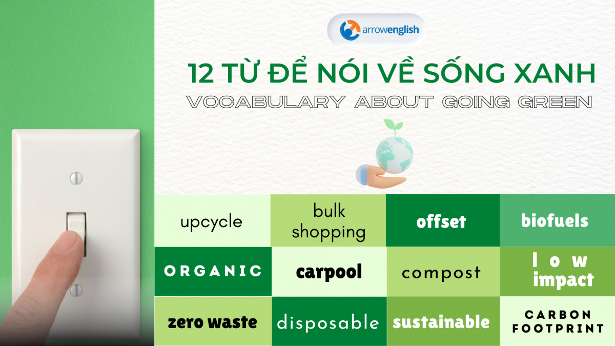 12 cụm từ để nói về “Sống xanh” | IELTS Vocabulary about “Going green”